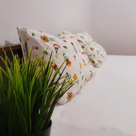 Pensiunea Casa Blanca Sulina Ngoại thất bức ảnh