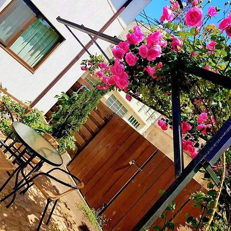 Pensiunea Casa Blanca Sulina Ngoại thất bức ảnh